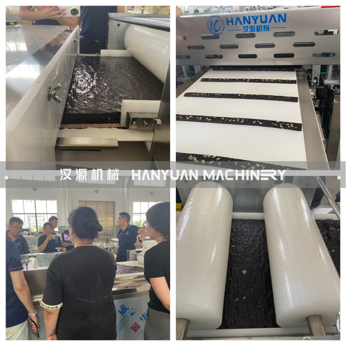 Latest company Solutions about Trial operation of the FIG donkey-hide gelatin cake production line